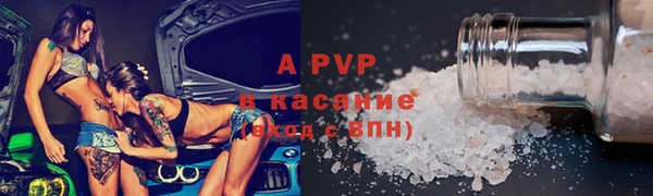 молекула духа Арсеньев