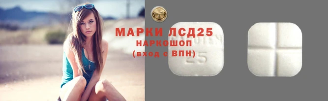 молекула духа Арсеньев