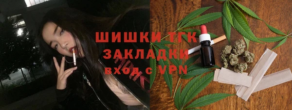 молекула духа Арсеньев