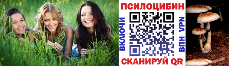 Галлюциногенные грибы GOLDEN TEACHER  Междуреченск 