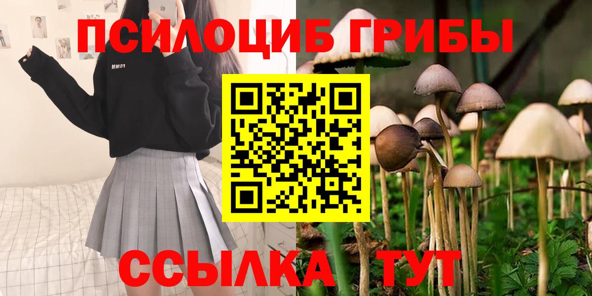 Междуреченск  Псилоцибиновые грибы Psilocybe  магазин  наркотиков  Вход с VPN 